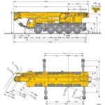 gabariidid_1_1095